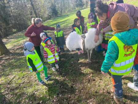 Se zvířaty jsme se mohli zblízka seznámit